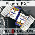 Filagra FXT 12